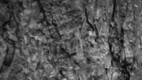 Los empleados atormentaron a los pequeños con una máscara de "Scream".