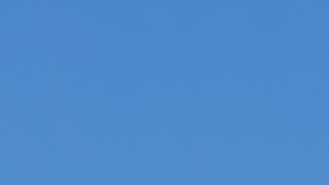 jetblue-promocion-halloween