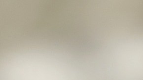 La serpiente estaba debajo del asiento de un pasajero de la clase ejecutiva.