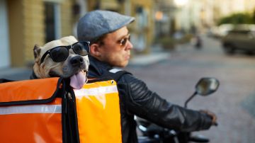 motocicleta-loteria-perro