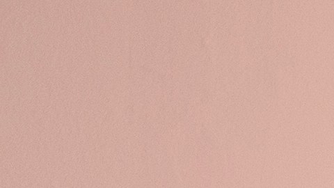 multa-puerta-rosa