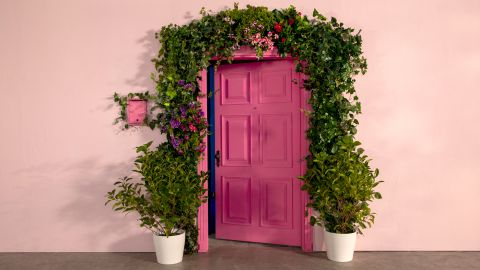 multa-puerta-rosa