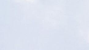 Los hechos se registraron en los terrenos del campamento de verano de Pali Adventures.