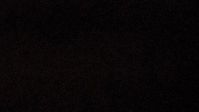 Contrario a una idea común, NYC no es el lugar con más ratas en Estados Unidos.