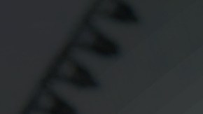 seguro-social-reglas