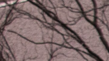 sysco-huelga-policia-arresto