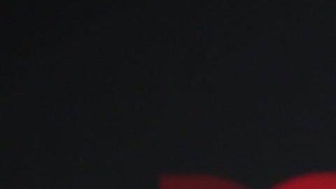 Carmen Villalobos.