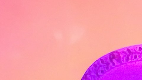 La cantante Ángela Aguilar sorprendió a sus seguidores de la red social Instagram.