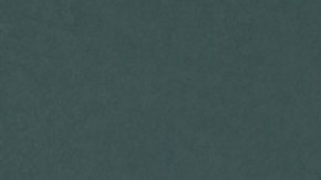 Marco Antonio Solís.