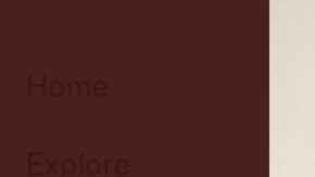 El gato visto por máquina de rayos X.