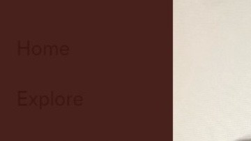 El gato visto por máquina de rayos X.