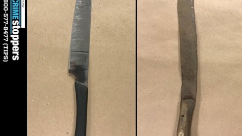 Cuchillo y machete decomisados.