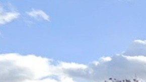 Sayville Motor Lodge, Long Island, NY.