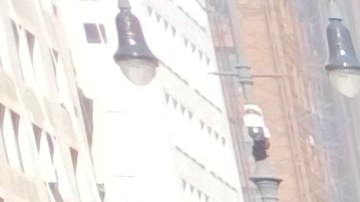 La concejal de origen colombiano, Jennifer Gutiérrez es una la patrocinantes de este esfuerzo legal.