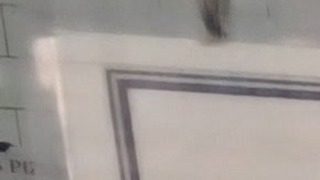 Concejo plantea nuevas legislaciones para facilitar la recuperación de un sector "golpeado"