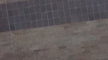 La Federación Hispana, Latino Justice, Naleo y Dominicanos USA crearon un bloque para vencer la apatía por este proceso histórico