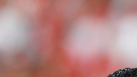 El portero consultó a los árbitros si podía salir antes de comenzar el encuentro.