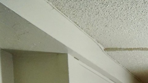 La concejal Carlina Rivera inspeccionó algunas unidades de vivienda pública.