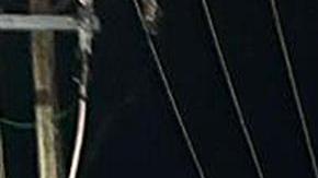 Autoridades mexicanas detienen a 300 migrantes al disolver dos caravanas