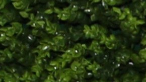 La actriz Elizabeth Gutiérrez junto a William Levy en el año 2017.