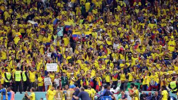 Los aficionados ecuatorianos insultaron a los qataríes en el partido inaugural del Mundial.