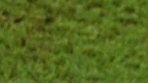 Gareth Bale  afirma que seguirá en la selección de Gales.