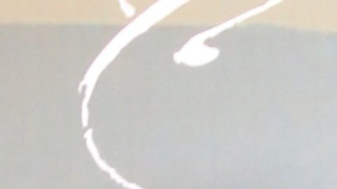 Carolina Sandoval contrató a un diseñador para que se encargara de la decoración navideña.