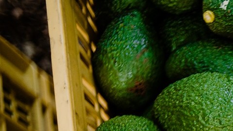 Aguacates