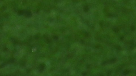 Mundial Qatar 2022: el controvertido historial de la FIFA con gobiernos autoritarios