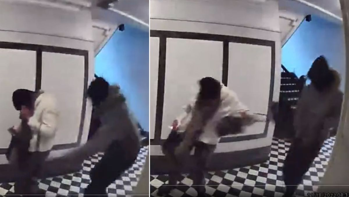 VIDEO: Subject snatches purse from 77-year-old woman, throws it on the ground in the Bronx