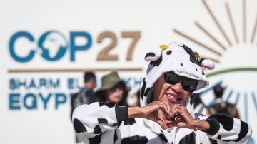 Un activista vegana posa durante una protesta en la Conferencia de las Naciones Unidas sobre el Cambio Climático de (COP27), en Sharm El-Sheikh, Egipto.