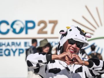 Un activista vegana posa durante una protesta en la Conferencia de las Naciones Unidas sobre el Cambio Climático de (COP27), en Sharm El-Sheikh, Egipto.