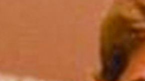 William Levy y Elizabeth Gutiérrez parecen estar de nuevo juntos.