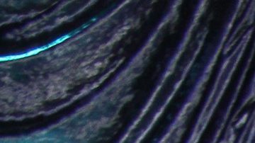 Platanito se burla del feminicidio de Debanhi; padres de la víctima procederán legalmente.