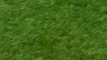 Enner Valencia podría jugar con Ecuador ante Países Bajos