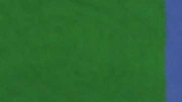 Nick Carter y su hermano Aaron Carter en los MTV Movie Awards de 2006.