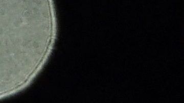 Carlo Ancelotti elogió a Gerard Piqué por su retiro