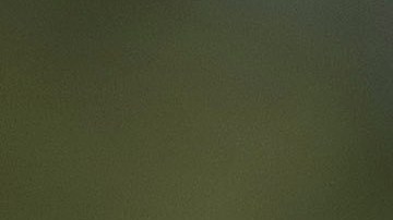 Patrulla Fronteriza San Diego California