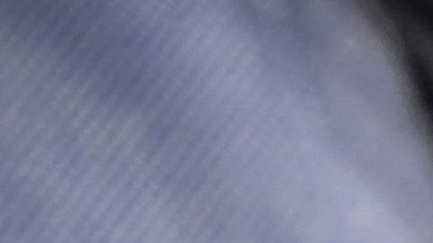 Pelé se mantiene en cuidados paliativos, según informaron sus hijas.