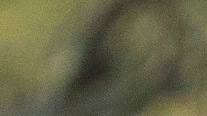 Mourners Attend Funeral Of Rep. Elijah Cummings In Baltimore