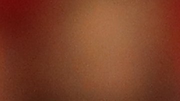 Donald Trump Ron DeSantis Elecciones 2024 Elecciones presidenciales