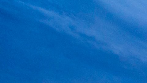 Walt Disney World Resort Reopening