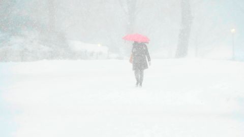 La nieve podría alcanzar el norte de Nueva York.