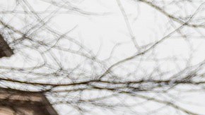 El 16 de noviembre se publicará la extensión del TPS para varios países.