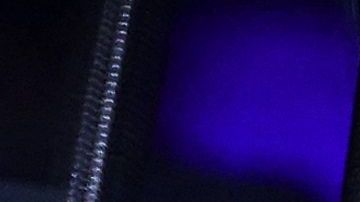 Mano gorila exhibición taxidermia