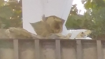 Accidente Chiapas inmigrantes