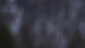 Los ucranianos desplazados “enfrentarán desafíos de salud únicos".