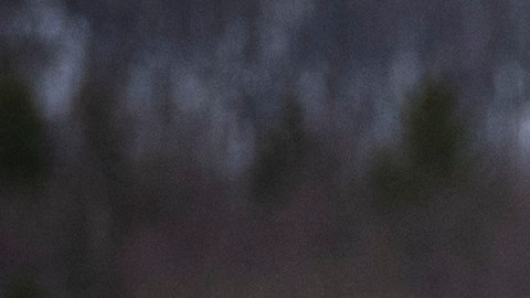 Los ucranianos desplazados “enfrentarán desafíos de salud únicos".