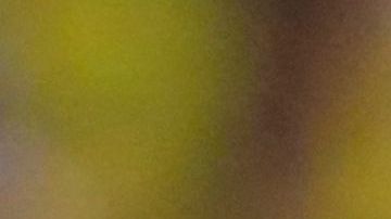 Ecuador jugará el partido inaugural ante Qatar el 18 de noviembre