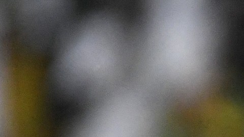 Mané es el Máximo goleador de la historia de Senegal